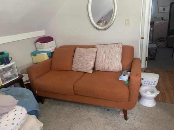 Loveseat Removal (Reg 2-seater)